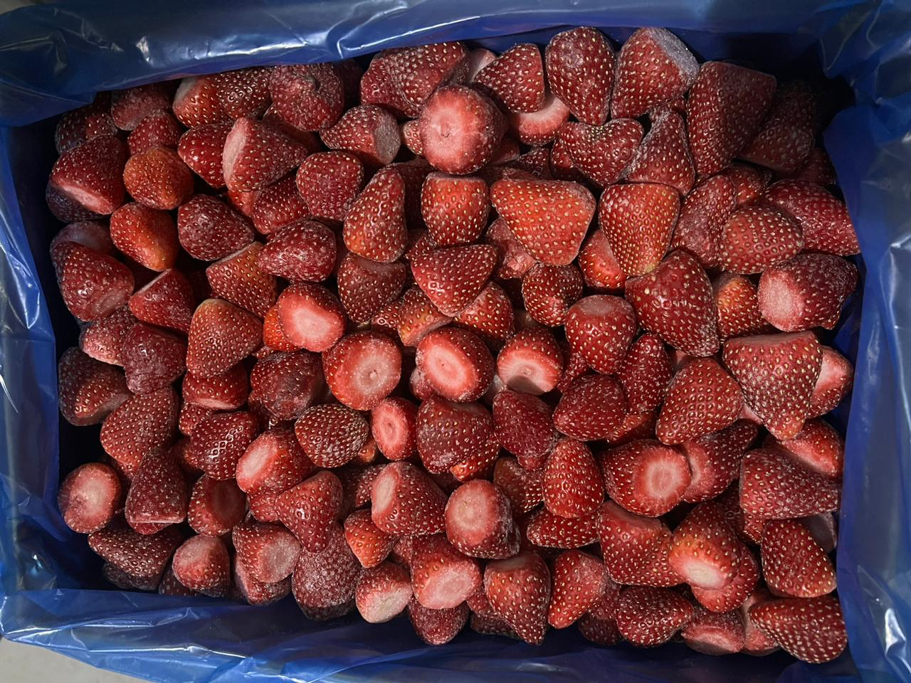 Frozen Strawberry quality control and packing for export