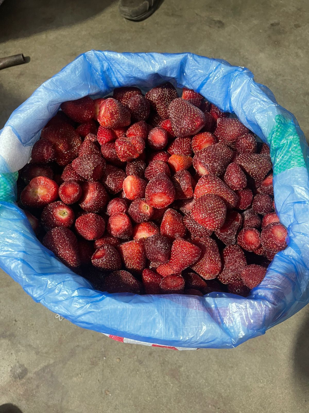 Frozen Strawberry Export from Egypt
