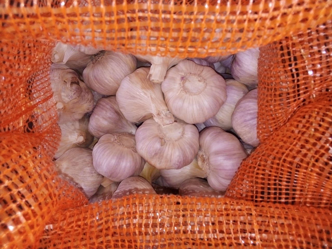 Egyptian Garlic Mesh Bag