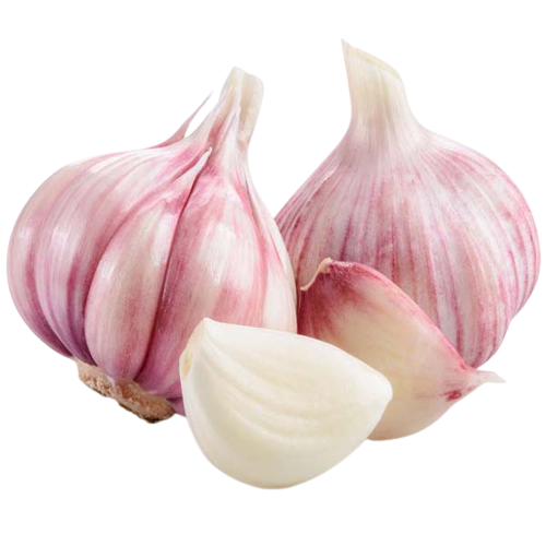 Red Garlic Egyptian Red Garlic Export from Egypt