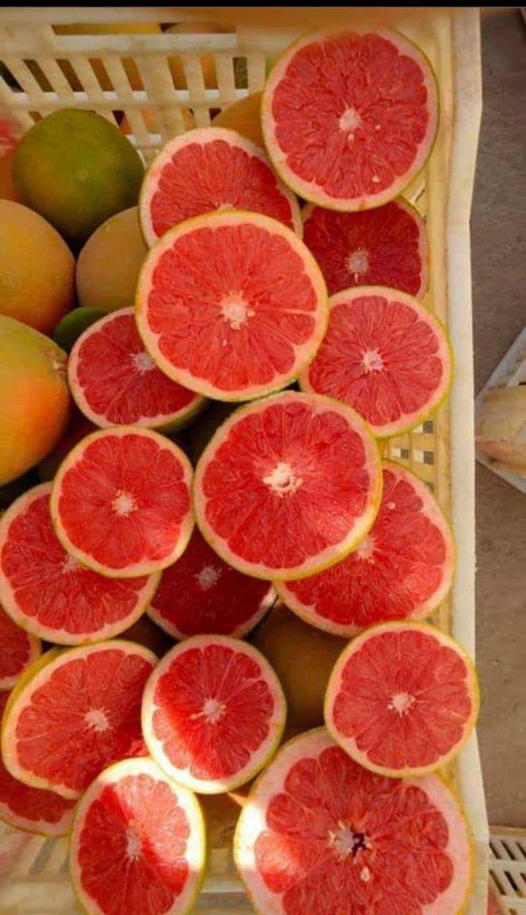 Egyptian Grapefruit Deep Red Flesh