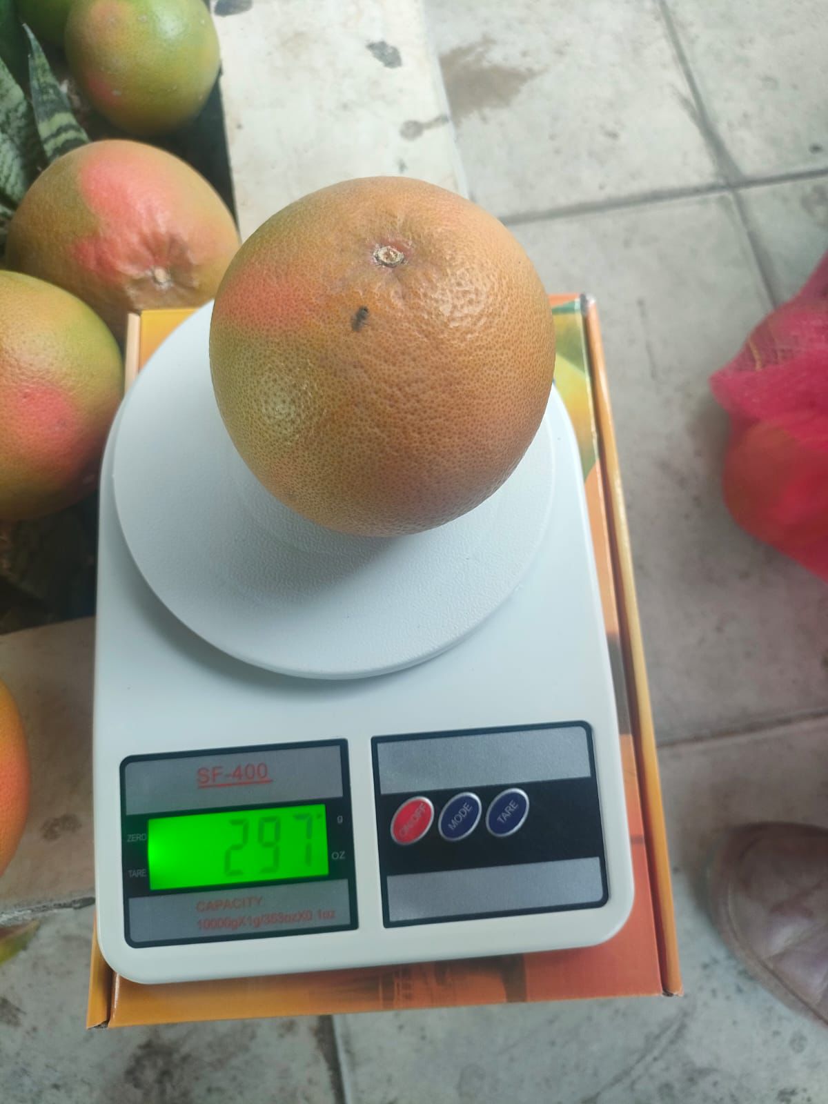 Egyptian Grapefruit Premium Size & Weight