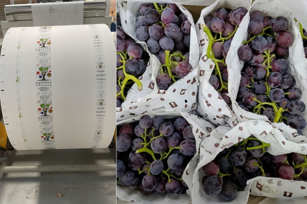 Egyptian Grapes Packing House