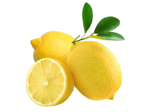 Eureka B Egyptian Eureka B Lemon Export from Egypt