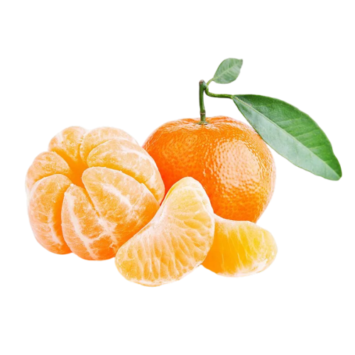 Clementine Egyptian Clementine Mandarin Export from Egypt