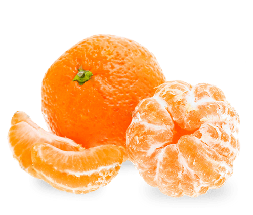 Mirav Egyptian Mirav Mandarin Export from Egypt