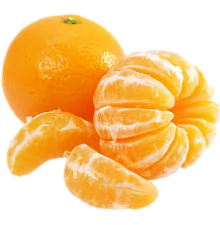 Murcott Egyptian Murcott Mandarin Export from Egypt