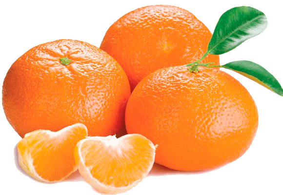 Egyptian Mandarin Export from Egypt