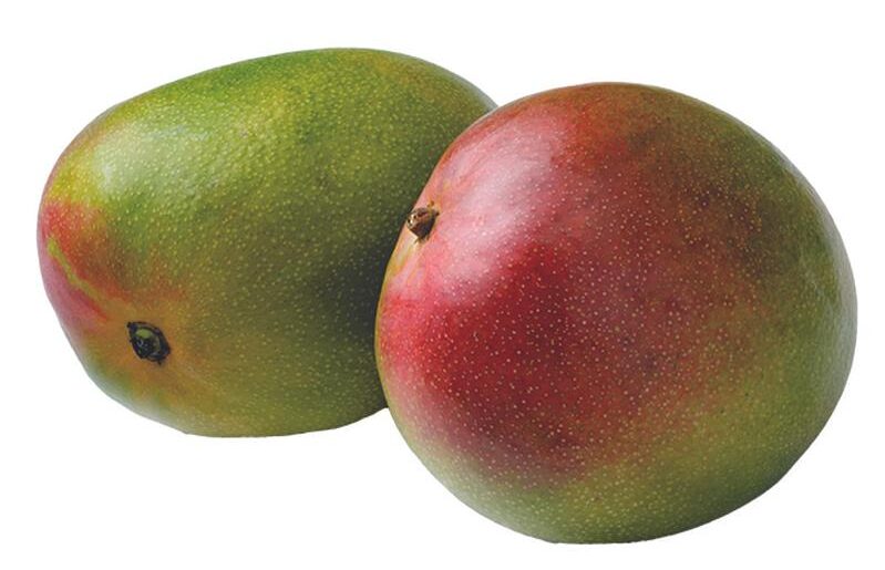 Naomi, Osteen and Tommy Atkins Egyptian Naomi Mango Export from Egypt