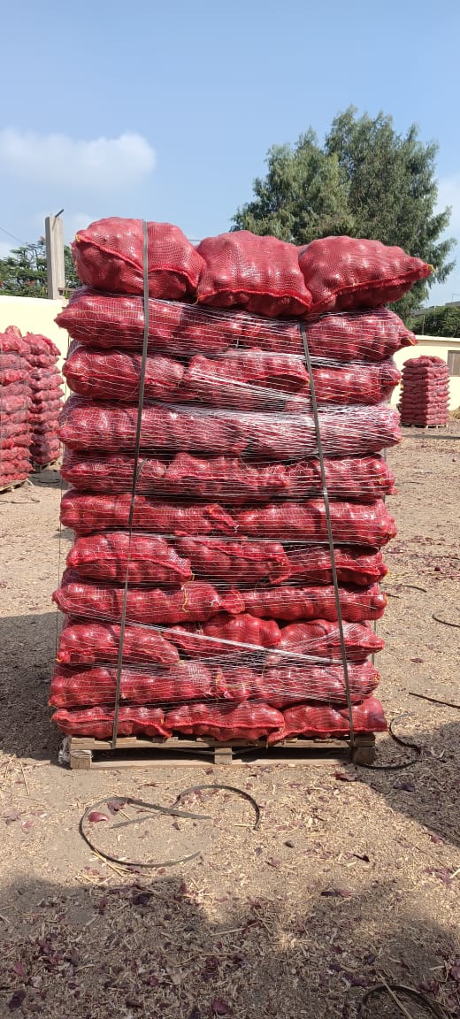 Egyptian Onion Palletized Bags