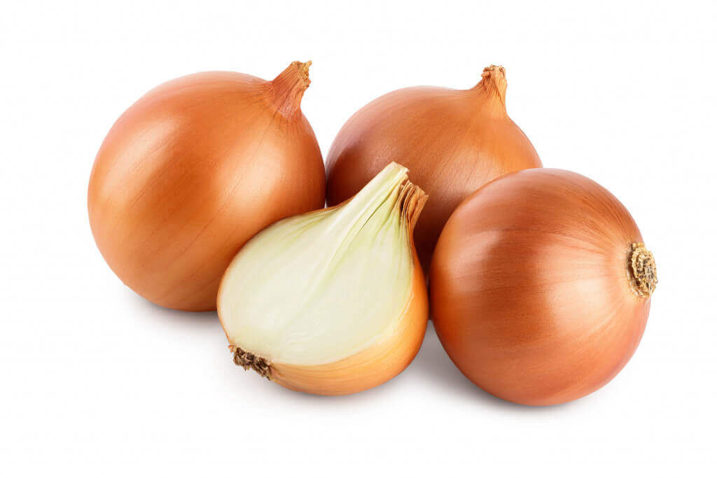 Egyptian Onion Export from Egypt