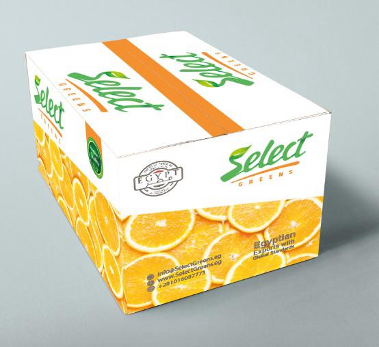 Egyptian Oranges Branded Packaging