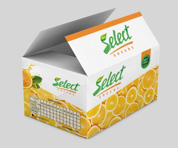 Egyptian Oranges Select Greens Export Carton