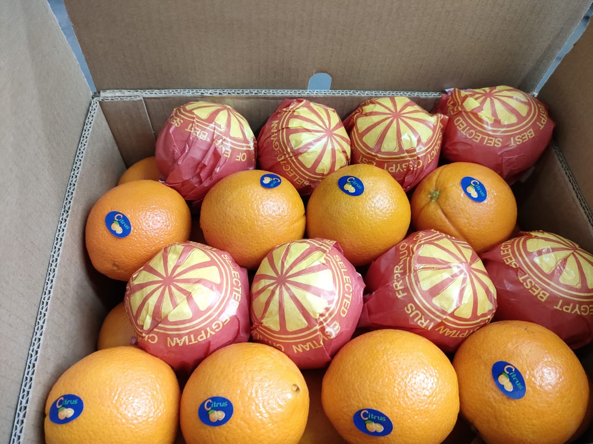 Egyptian Oranges Packed Carton