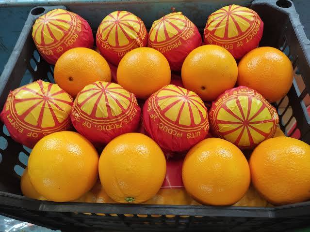 Egyptian Oranges Wrapped & Packed