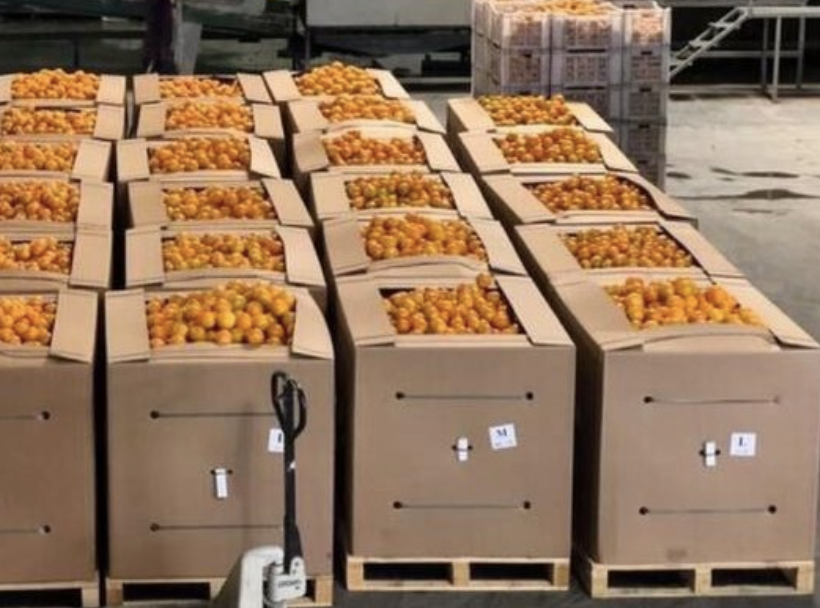 Egyptian Oranges Palletized Load