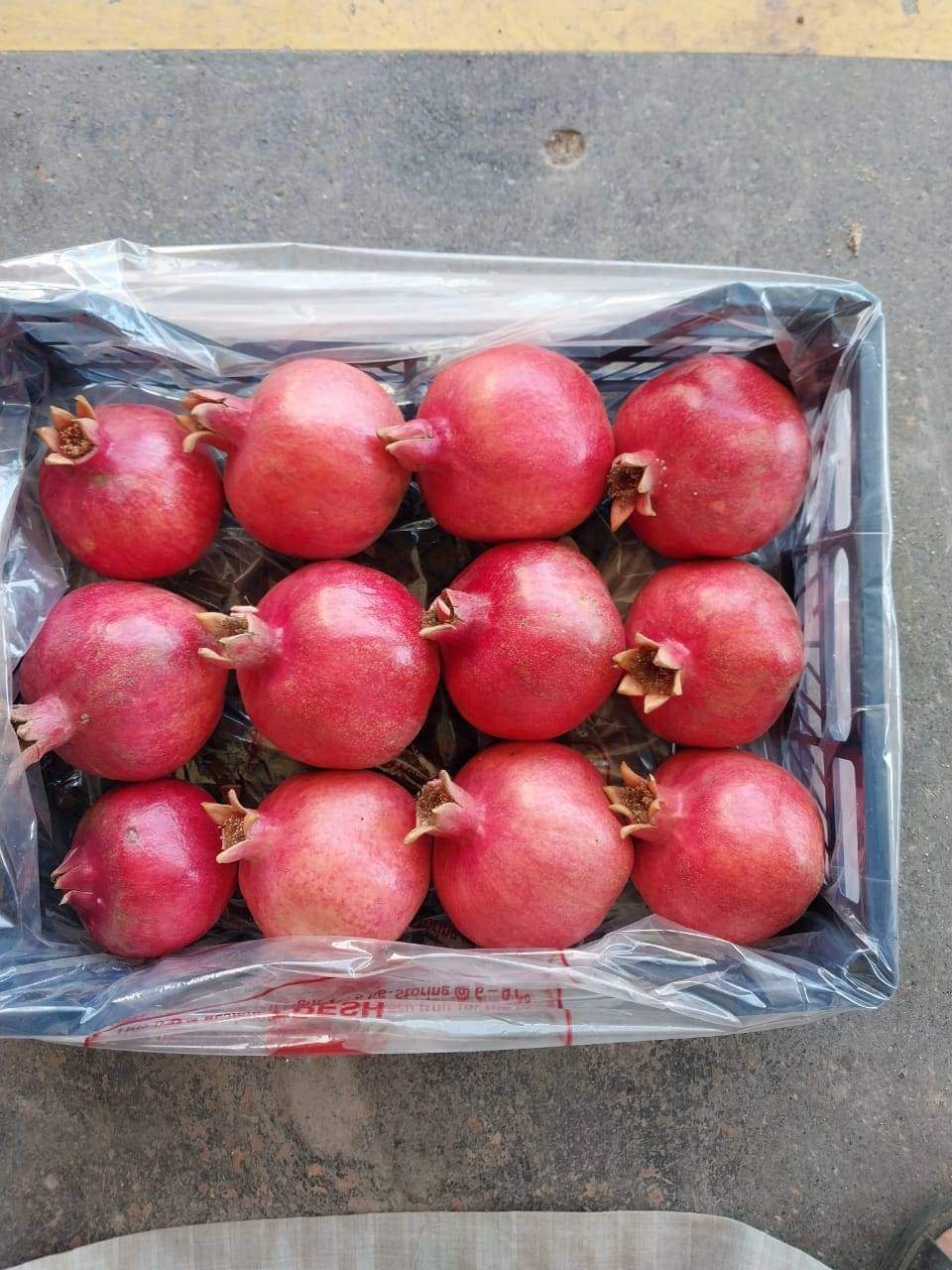 Egyptian Pomegranate Export Box