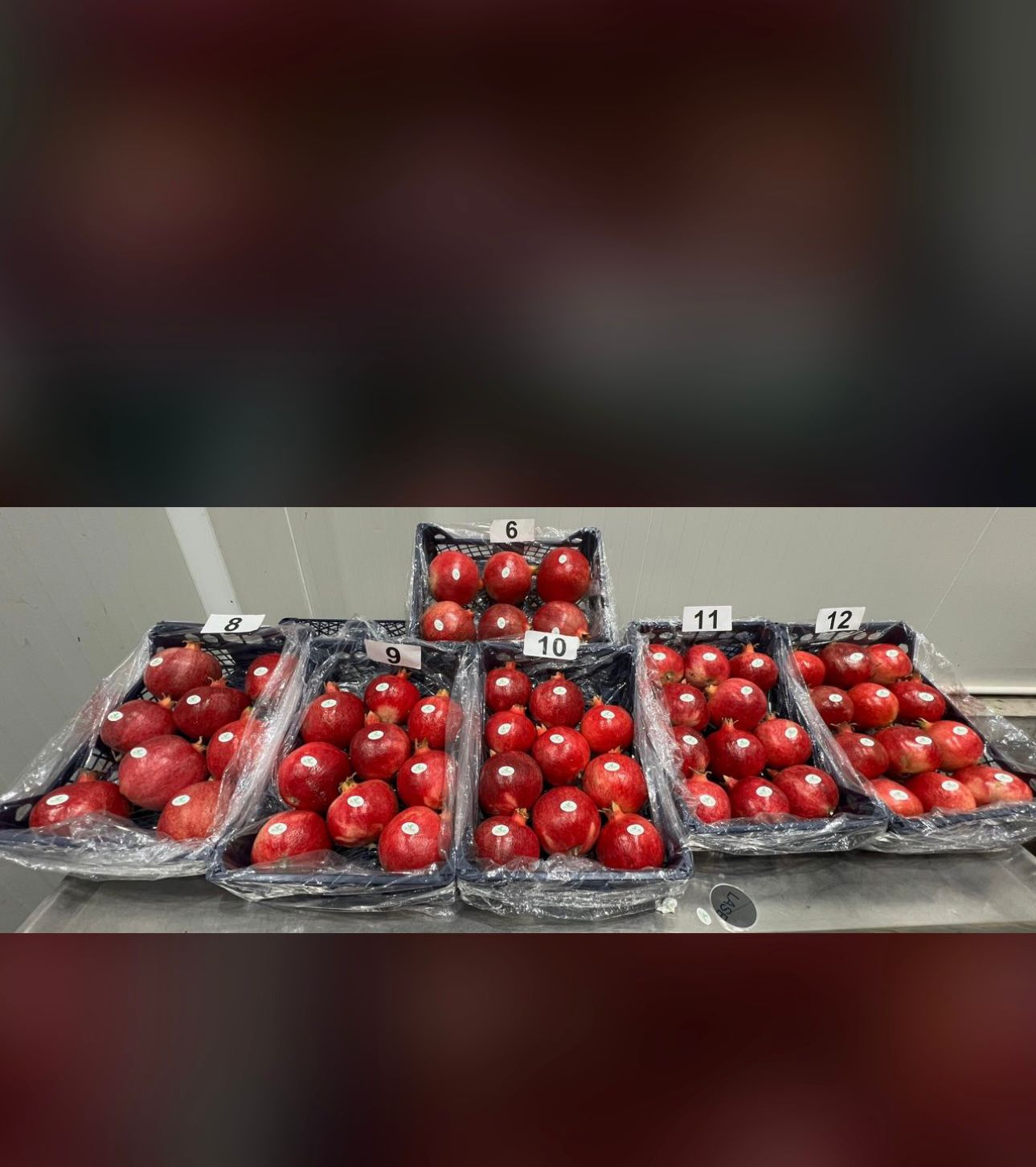 Egyptian Pomegranate Retail Punnets
