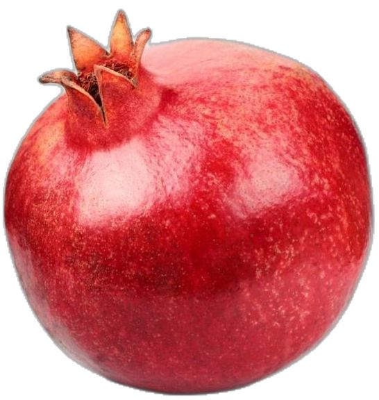 Egyptian Pomegranate Export from Egypt