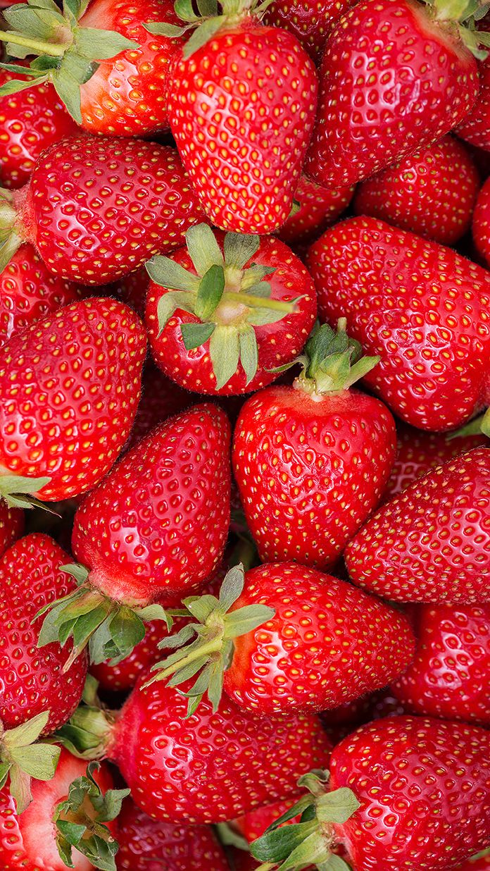 Festival Egyptian Festival Strawberry Export from Egypt