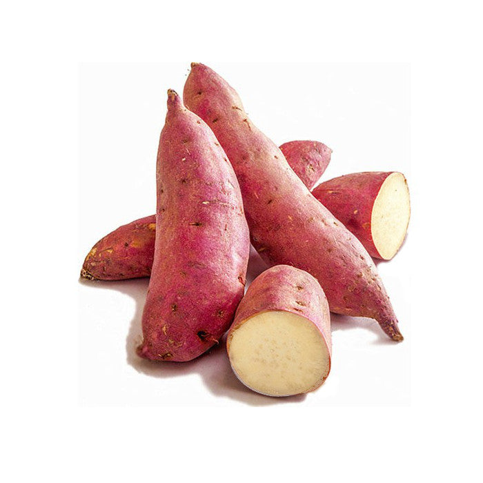 Bellevue Egyptian Bellevue Sweet Potato Export from Egypt