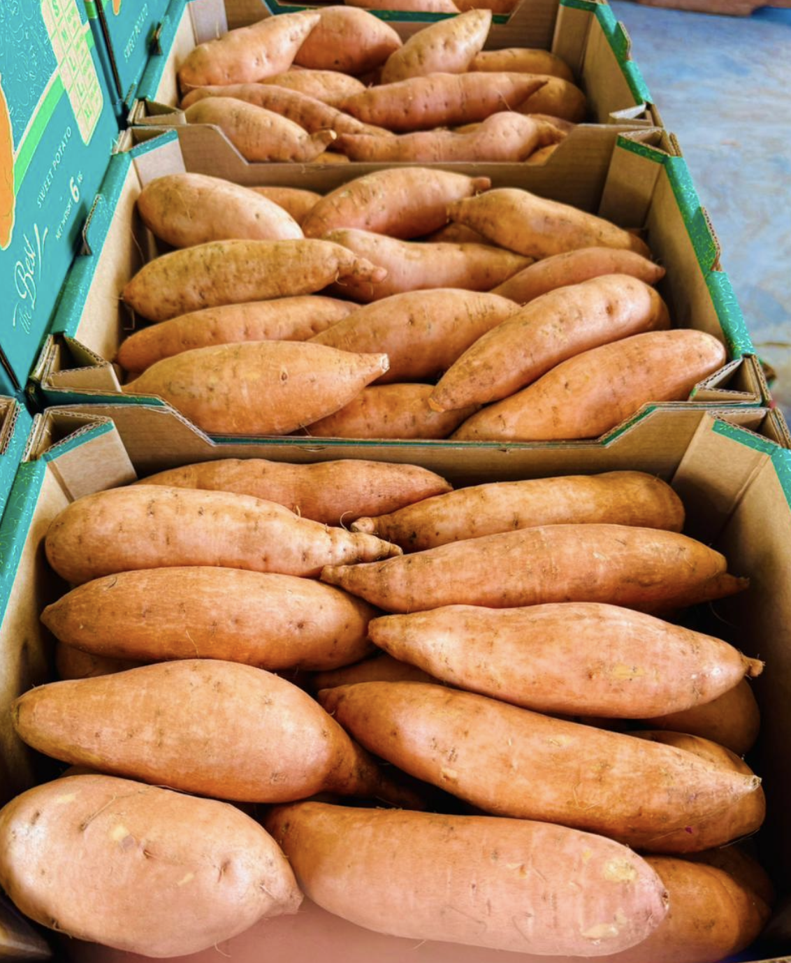 Egyptian Sweet Potato Graded Crate