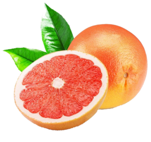 Citrus - the best export egyption company in citrus, grapefruit