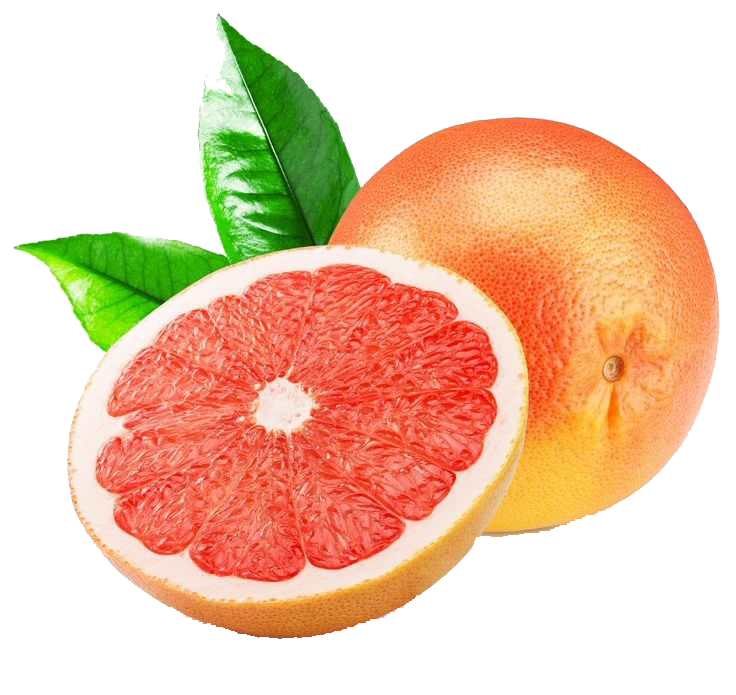 Citrus - the best export egyption company in citrus, grapefruit