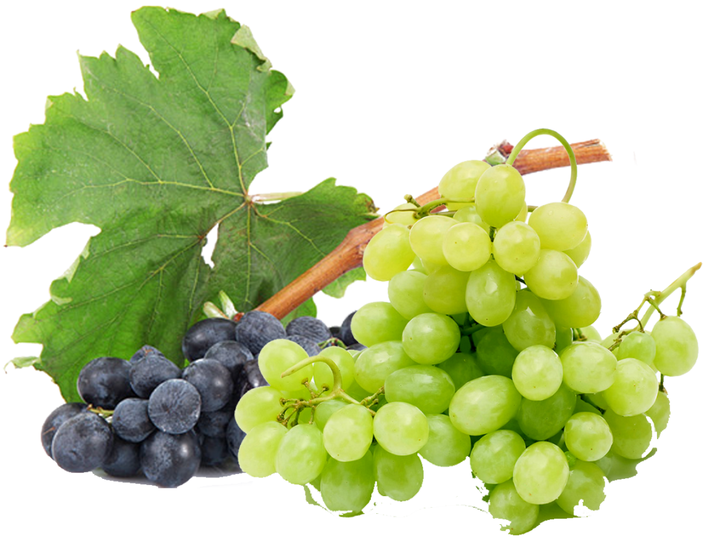 Select Greens one of The best Export Fruits and grapes Company's in Egypt