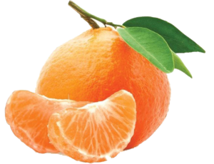 Citrus - the best export egyption company in citrus, mandarin