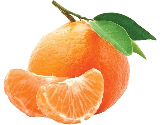 Citrus - the best export egyption company in citrus, mandarin