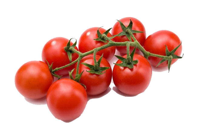 vegetables tomato - select greens - the best exporter from egypt