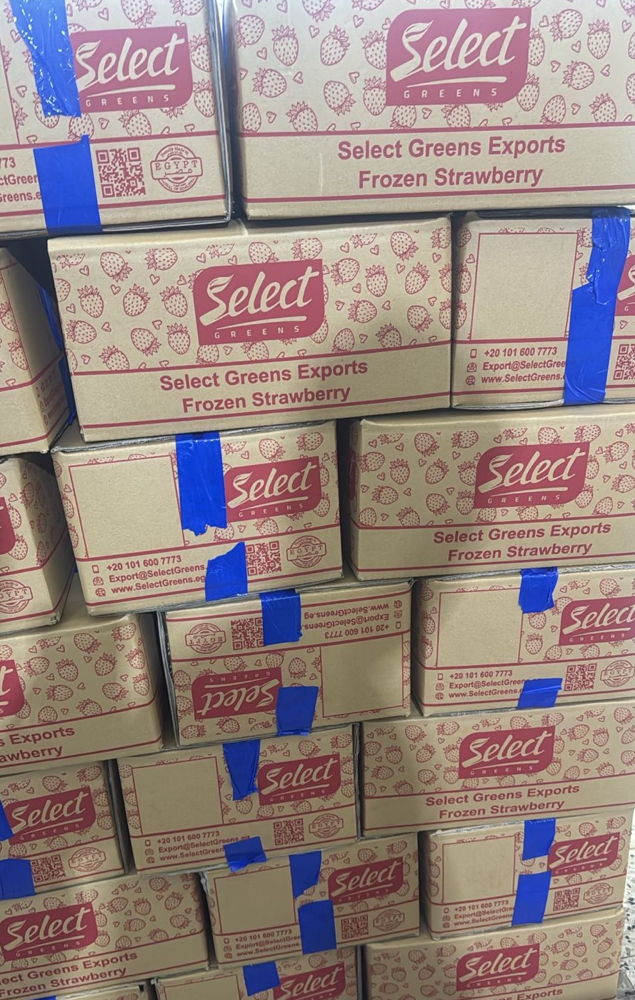 Egyptian Frozen IQF Strawberry From Select Greens