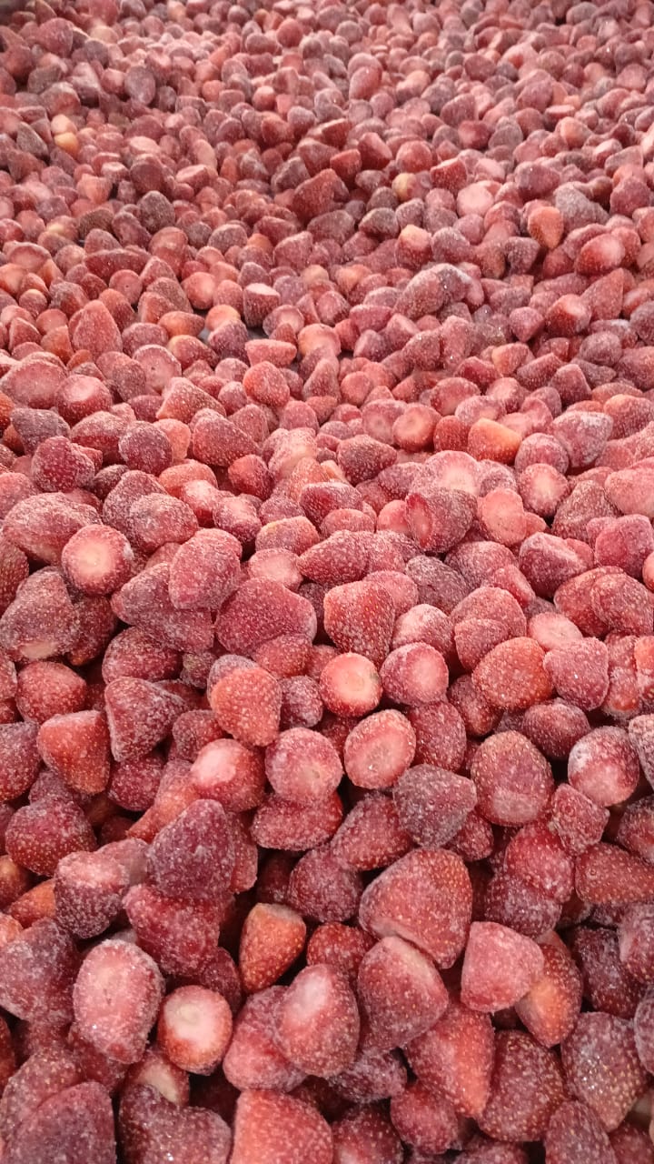 Egyptian Frozen IQF Strawberry From Select Greens