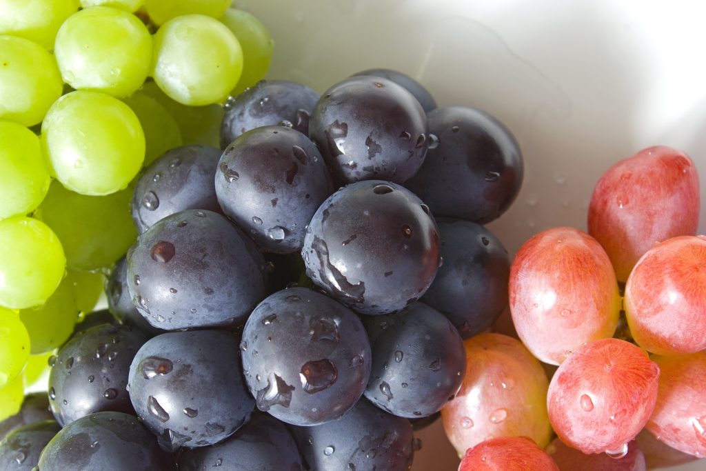 Egyptian Grapes from Select Greens