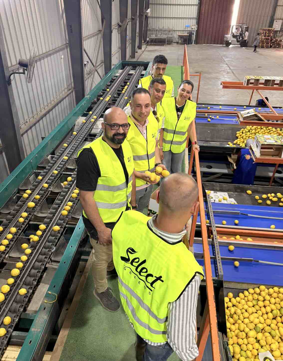 International Buyer Visits Select Greens Packing House for Egyptian Lemon