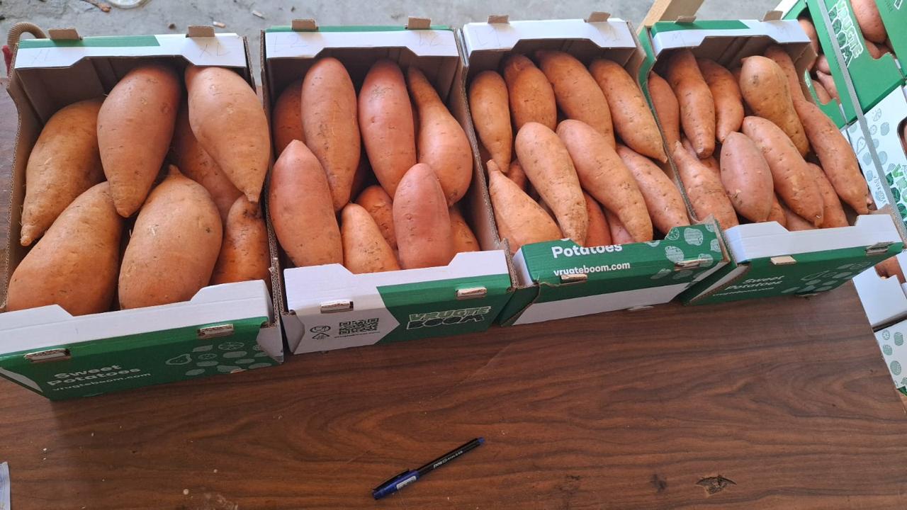 Premium Egyptian Sweet Potatoes From Select Greens