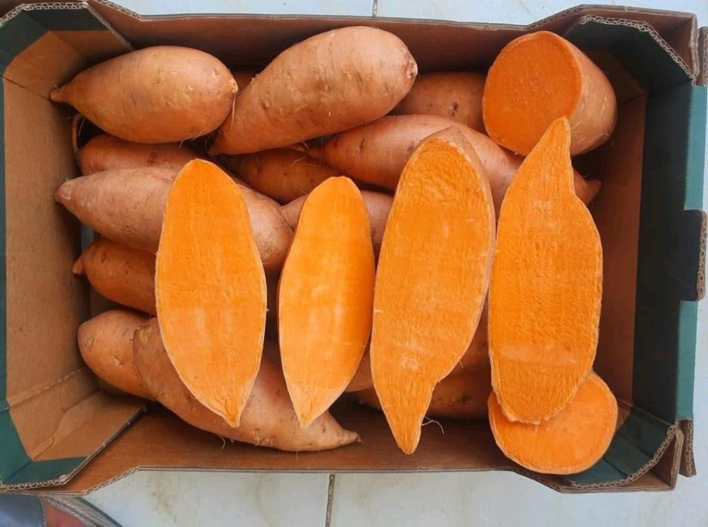 Premium Egyptian Sweet Potatoes from Select Greens